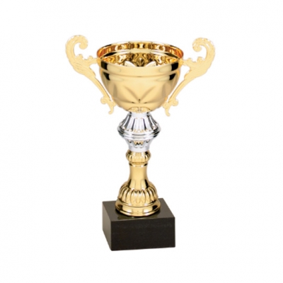 Augustus Cup Trophy - Gold image