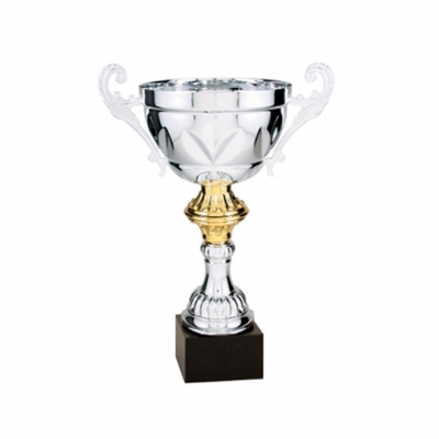 Augustus Cup Trophy - Silver image