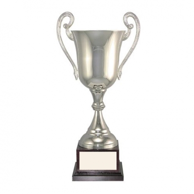 Charles Cup Trophy image