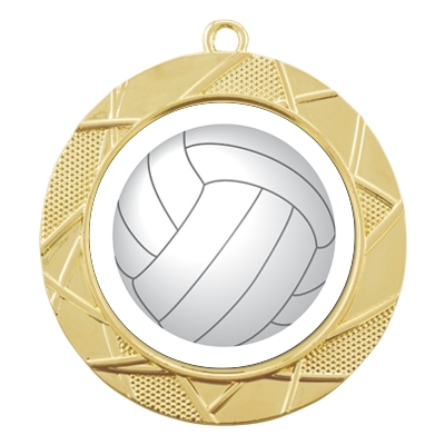 Color Sport Volleyball Medal image