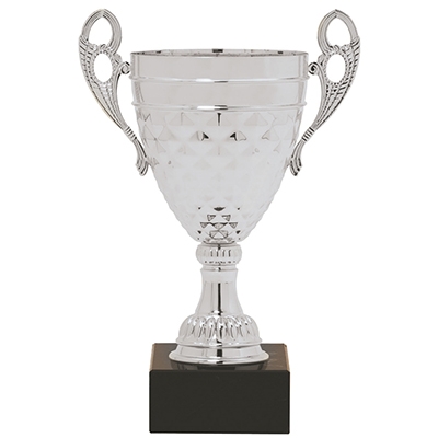 Henry Cup Trophy - Silver image