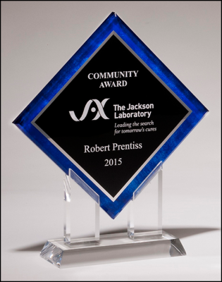 Blue Border Diamond Acrylic Award image