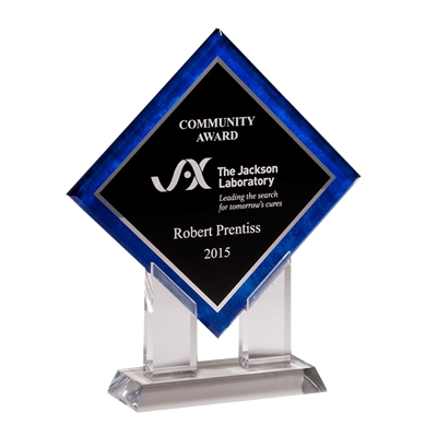 Blue Border Diamond Acrylic Award image